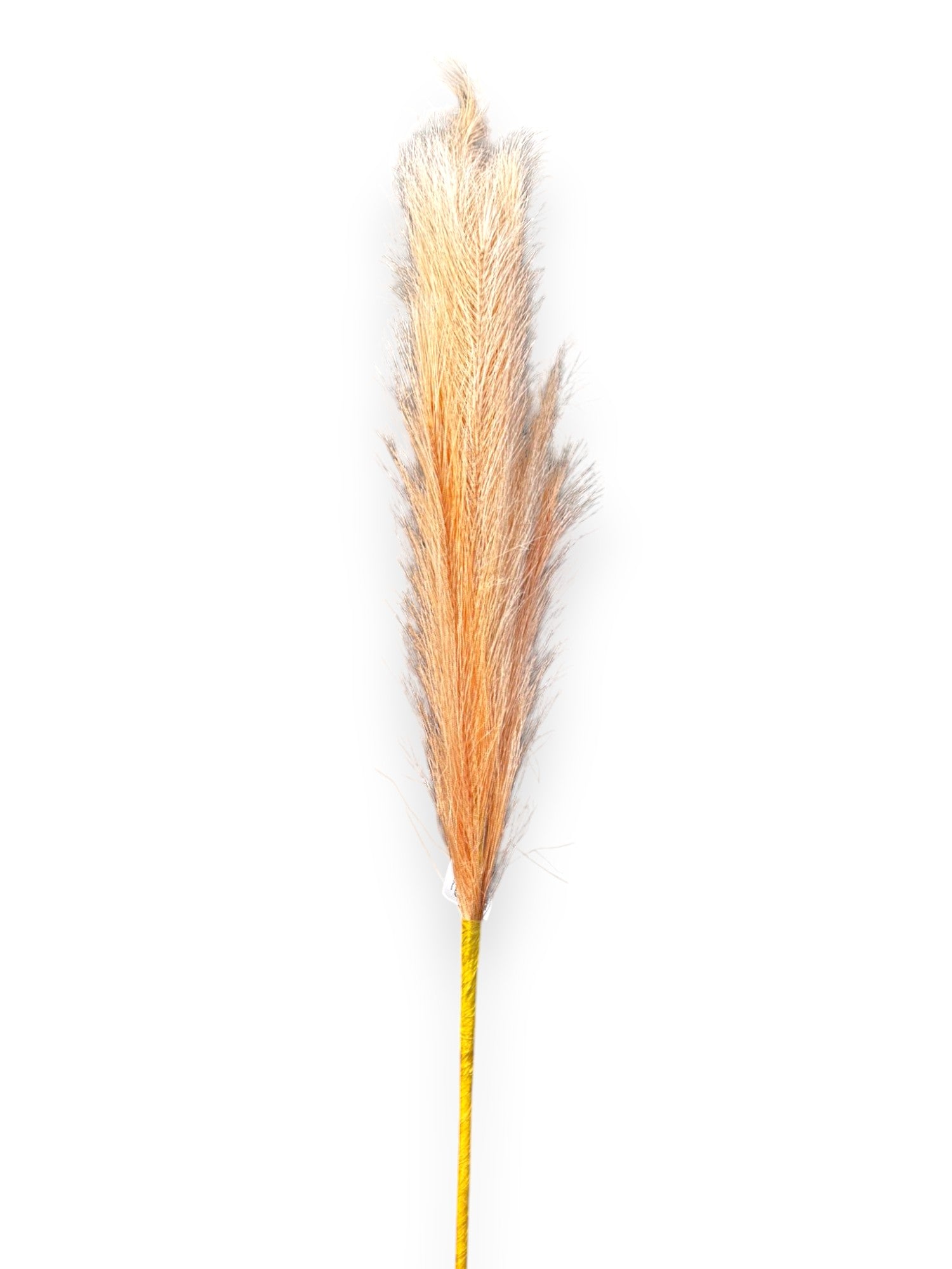 ARTIFICIAL PAMPAS GRASS XLG