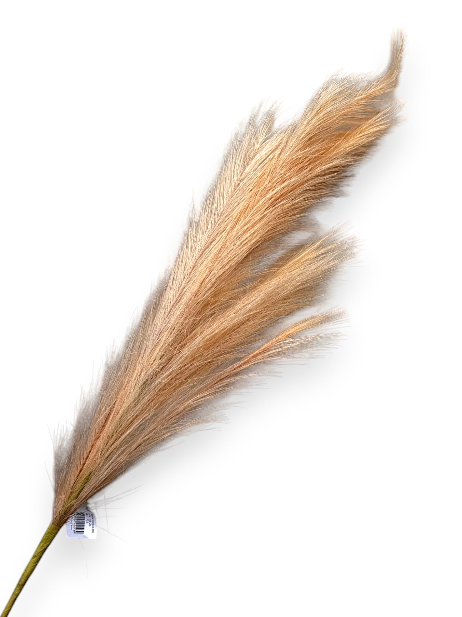 ARTIFICIAL PAMPAS GRASS XLG