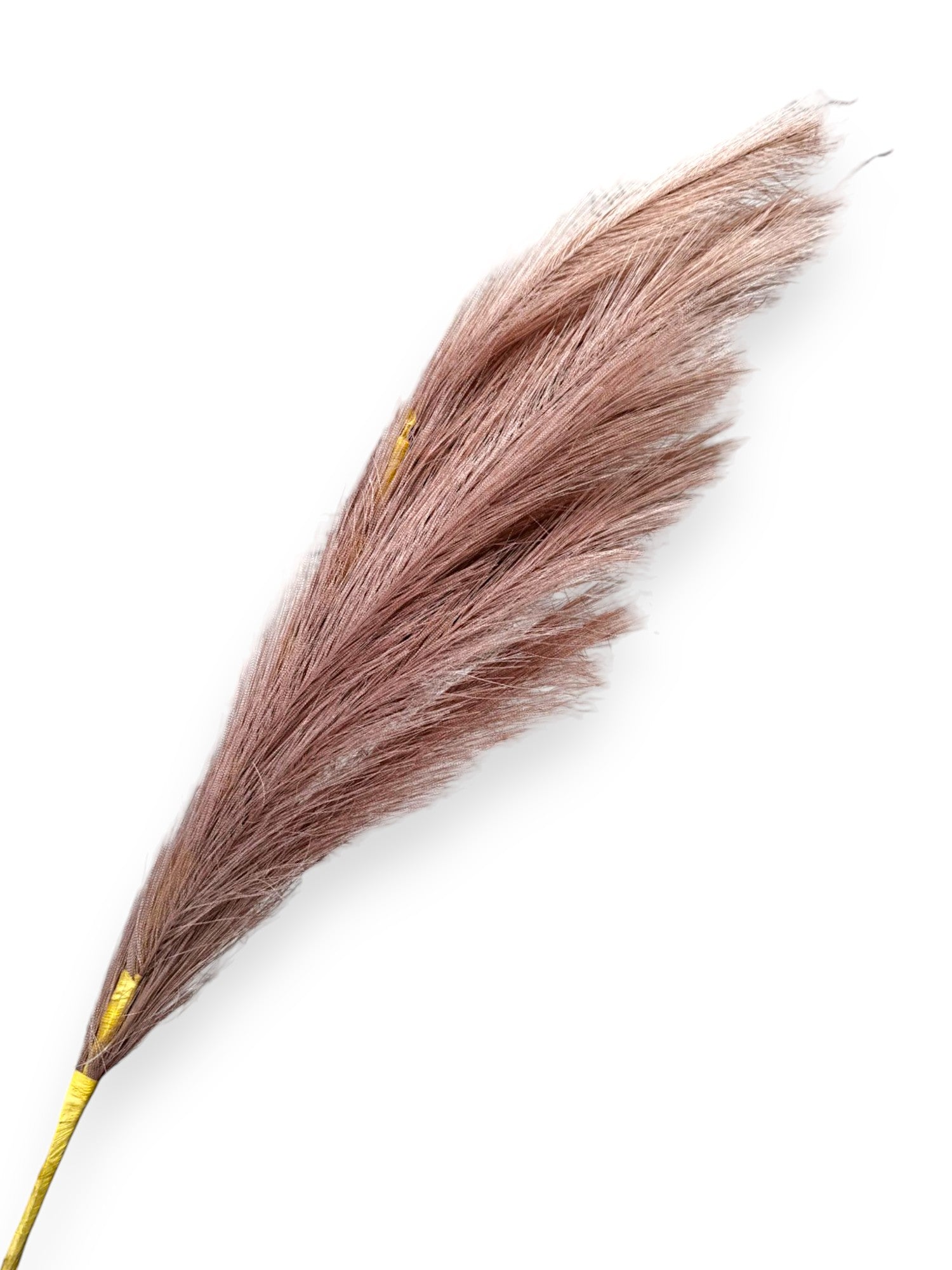 ARTIFICIAL PAMPAS GRASS XLG