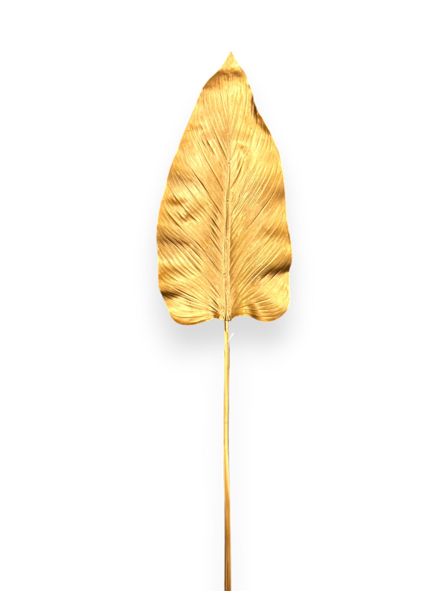 GOLD CALLA LEAF LARGE