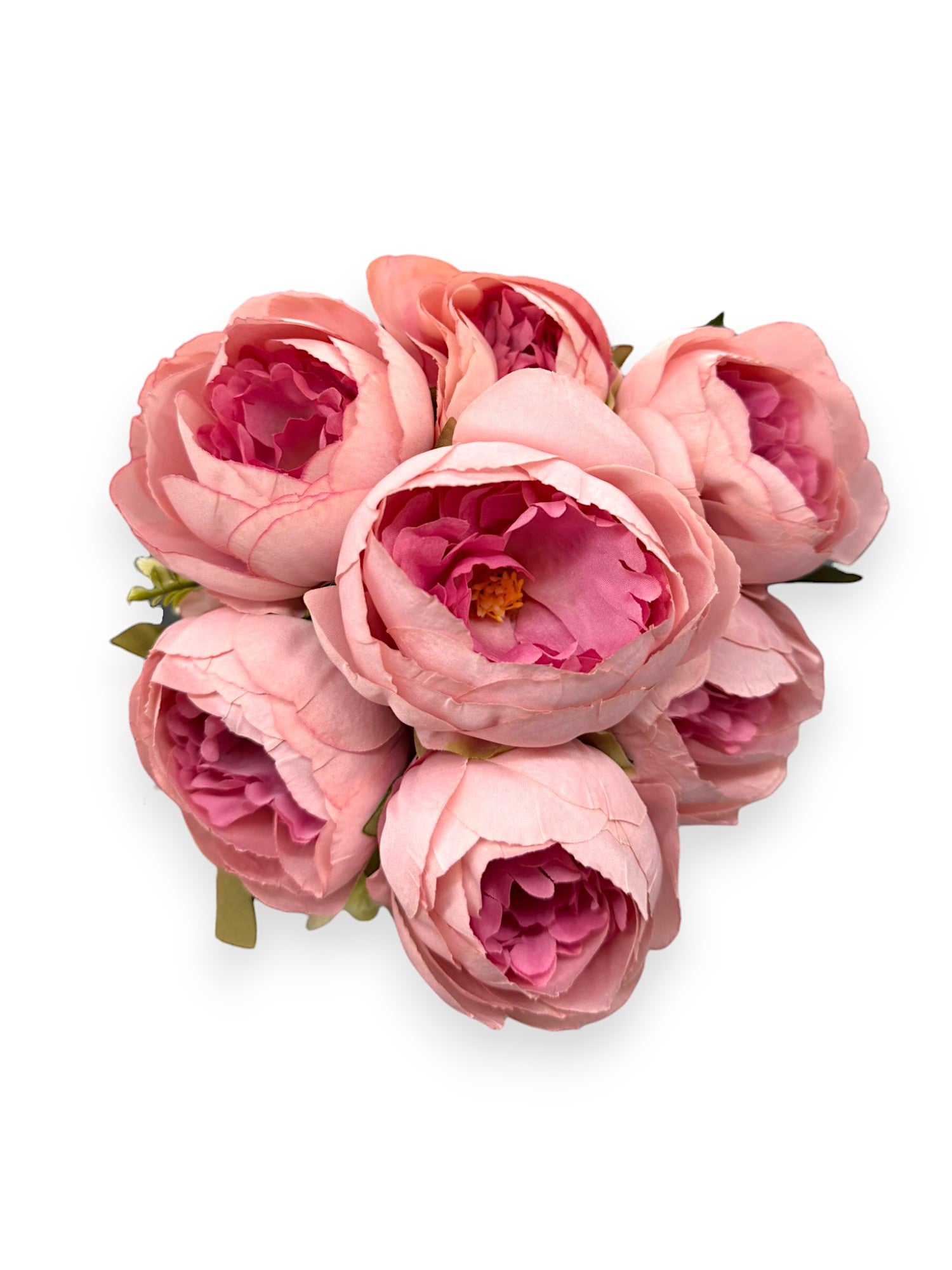 PEONY BUSH X7