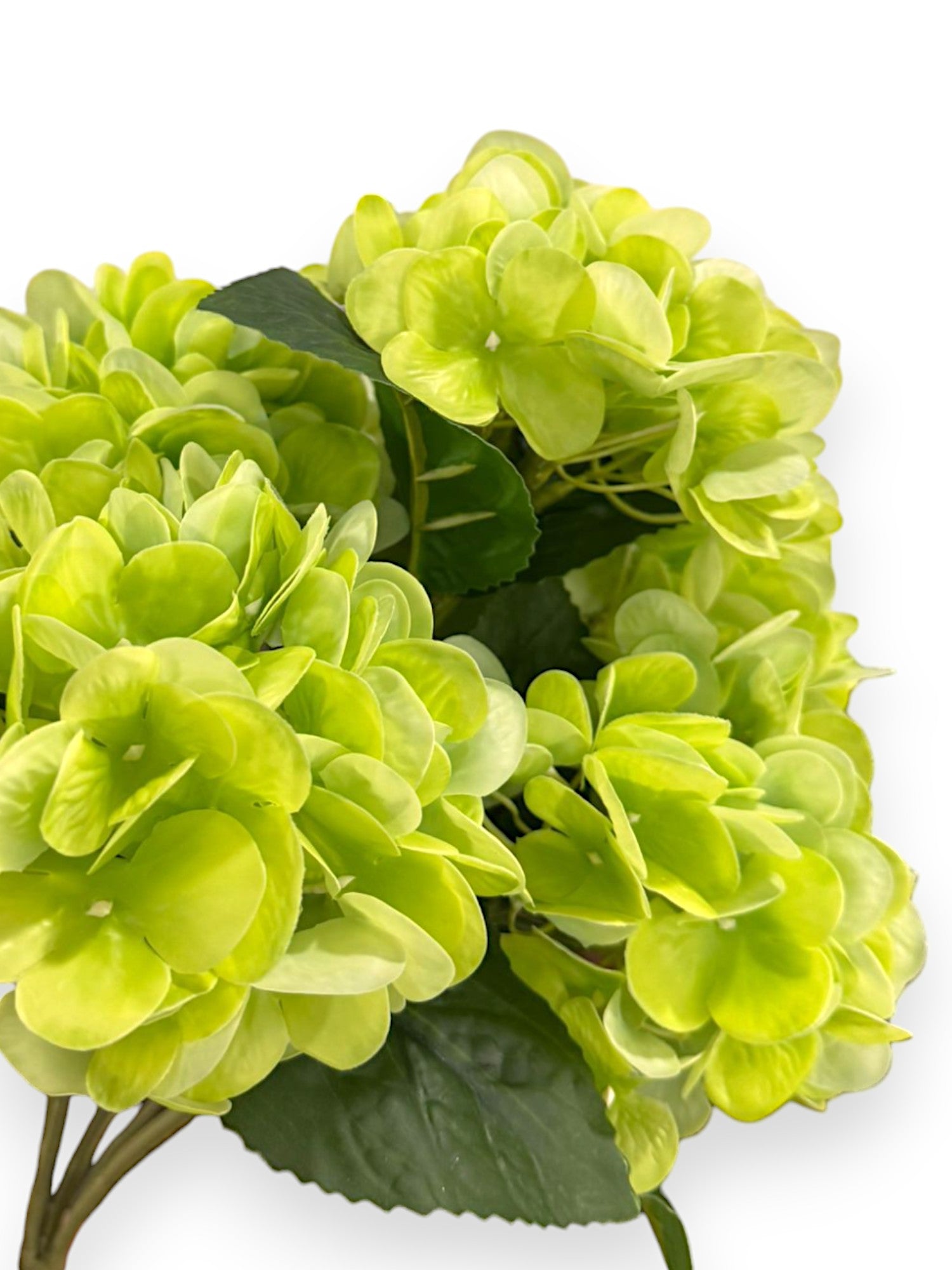 NAT TOUCH HYDRANGEA BUSH X5