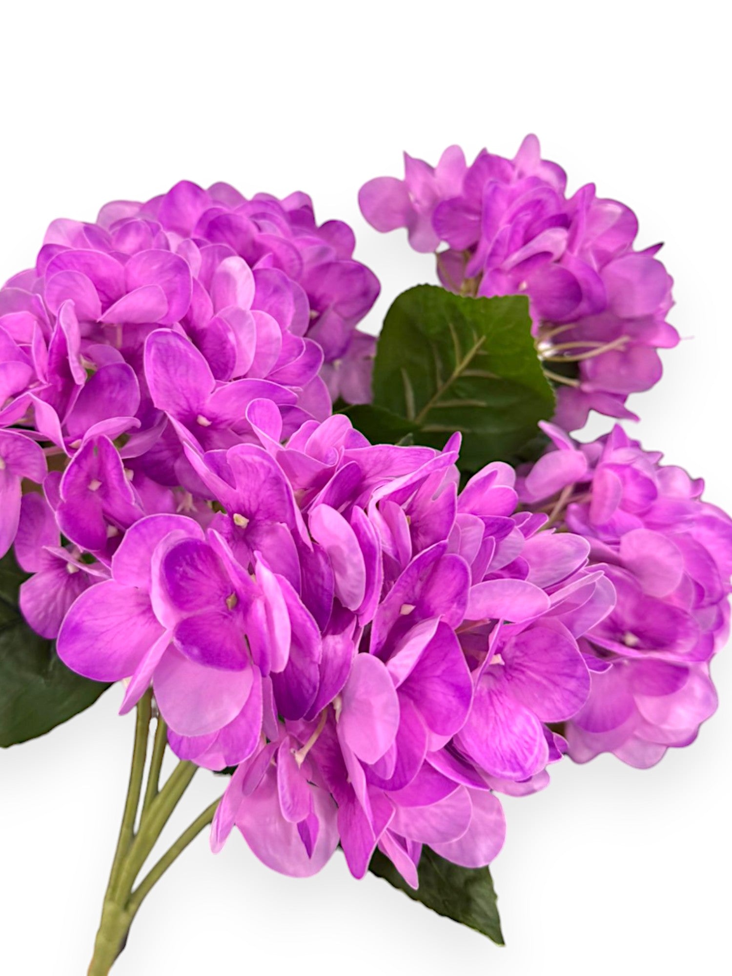 NAT TOUCH HYDRANGEA BUSH X5