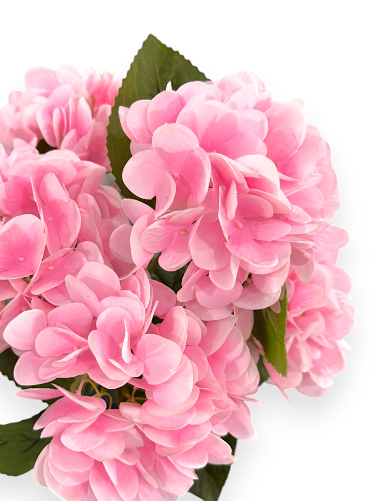 NAT TOUCH HYDRANGEA BUSH X5