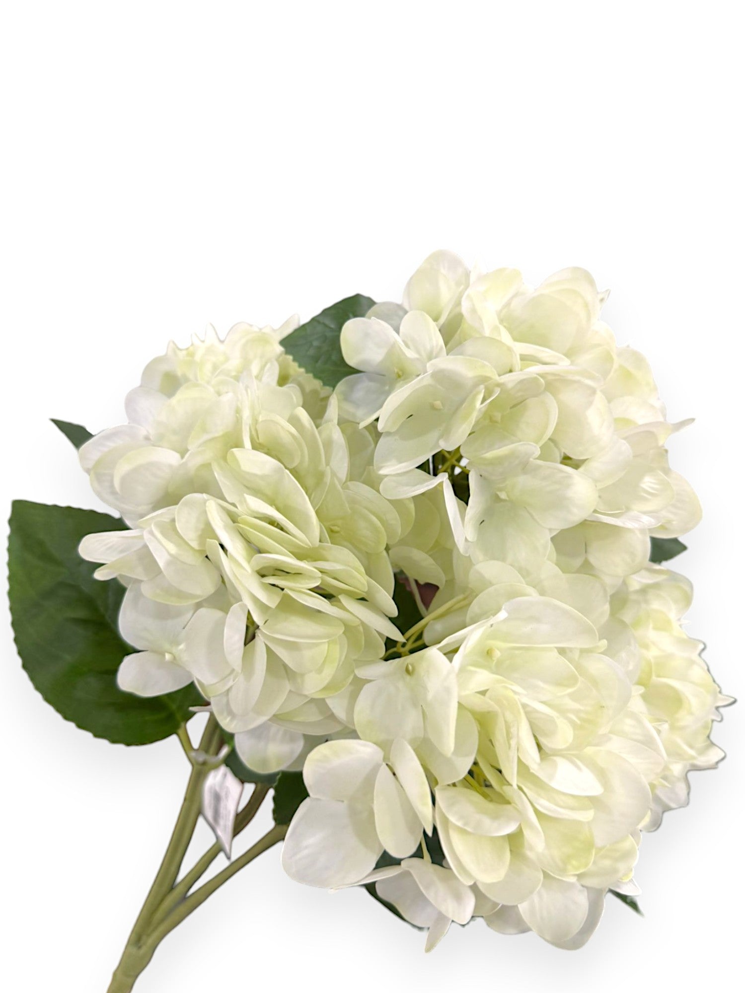 NAT TOUCH HYDRANGEA BUSH X5