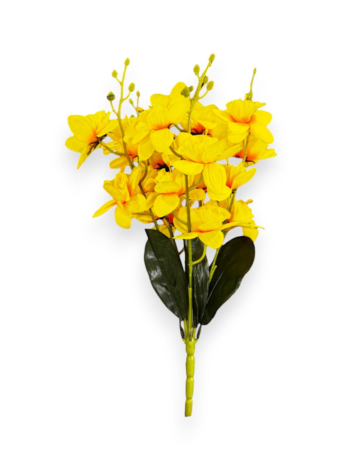 DAFFODIL BUSH X5