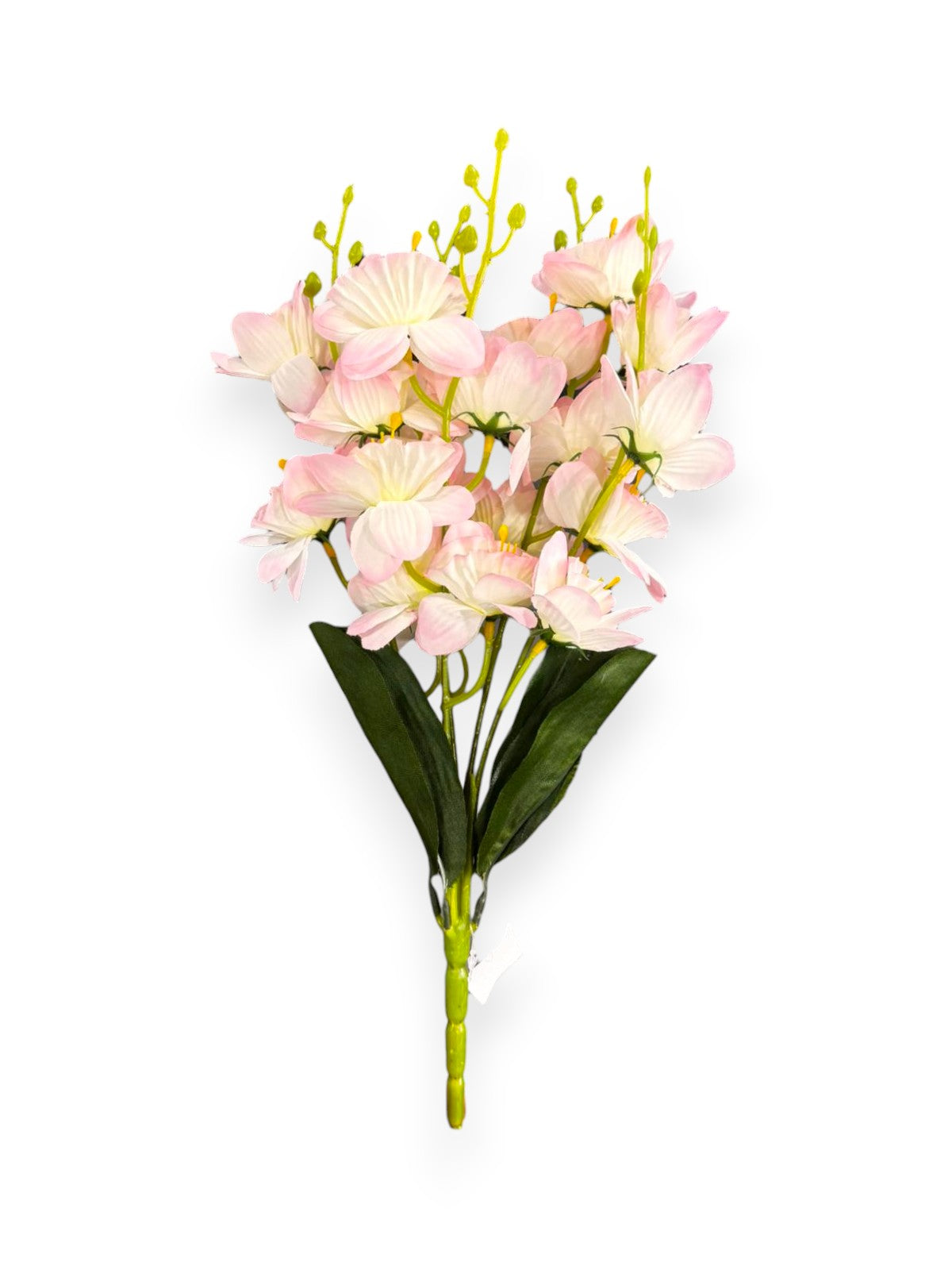 DAFFODIL BUSH X5