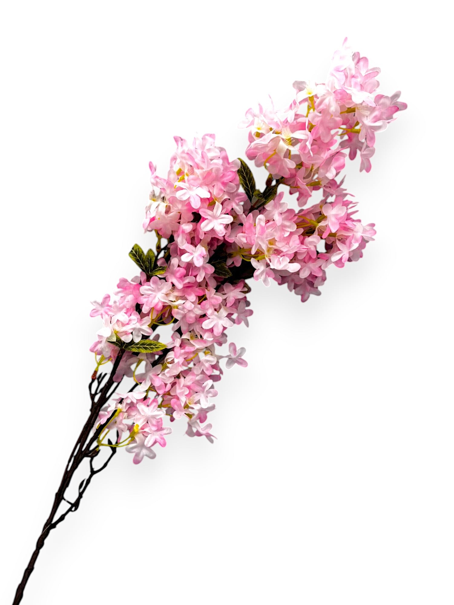 CHERRY BLOSSOM 35"
