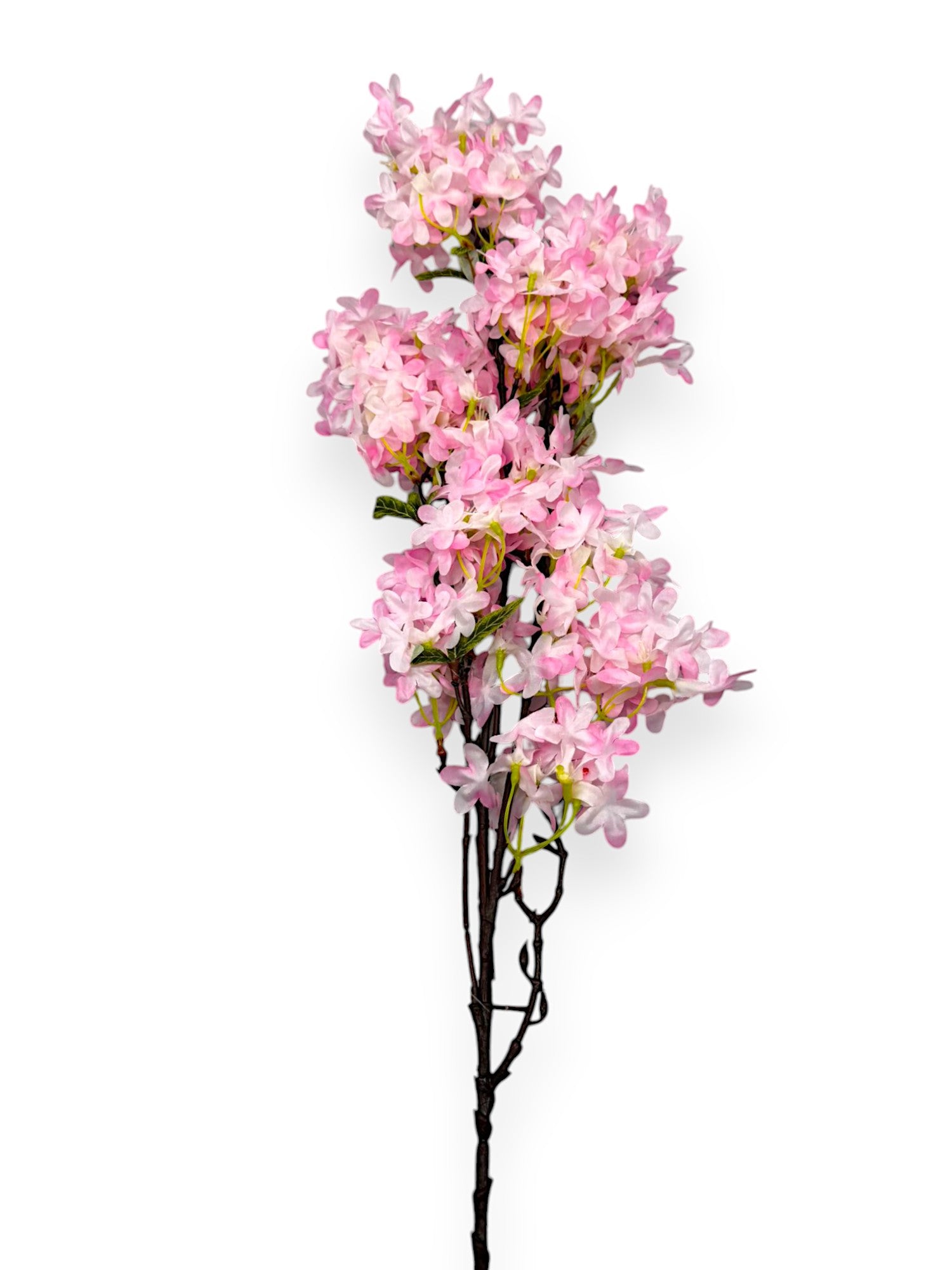 CHERRY BLOSSOM 35"