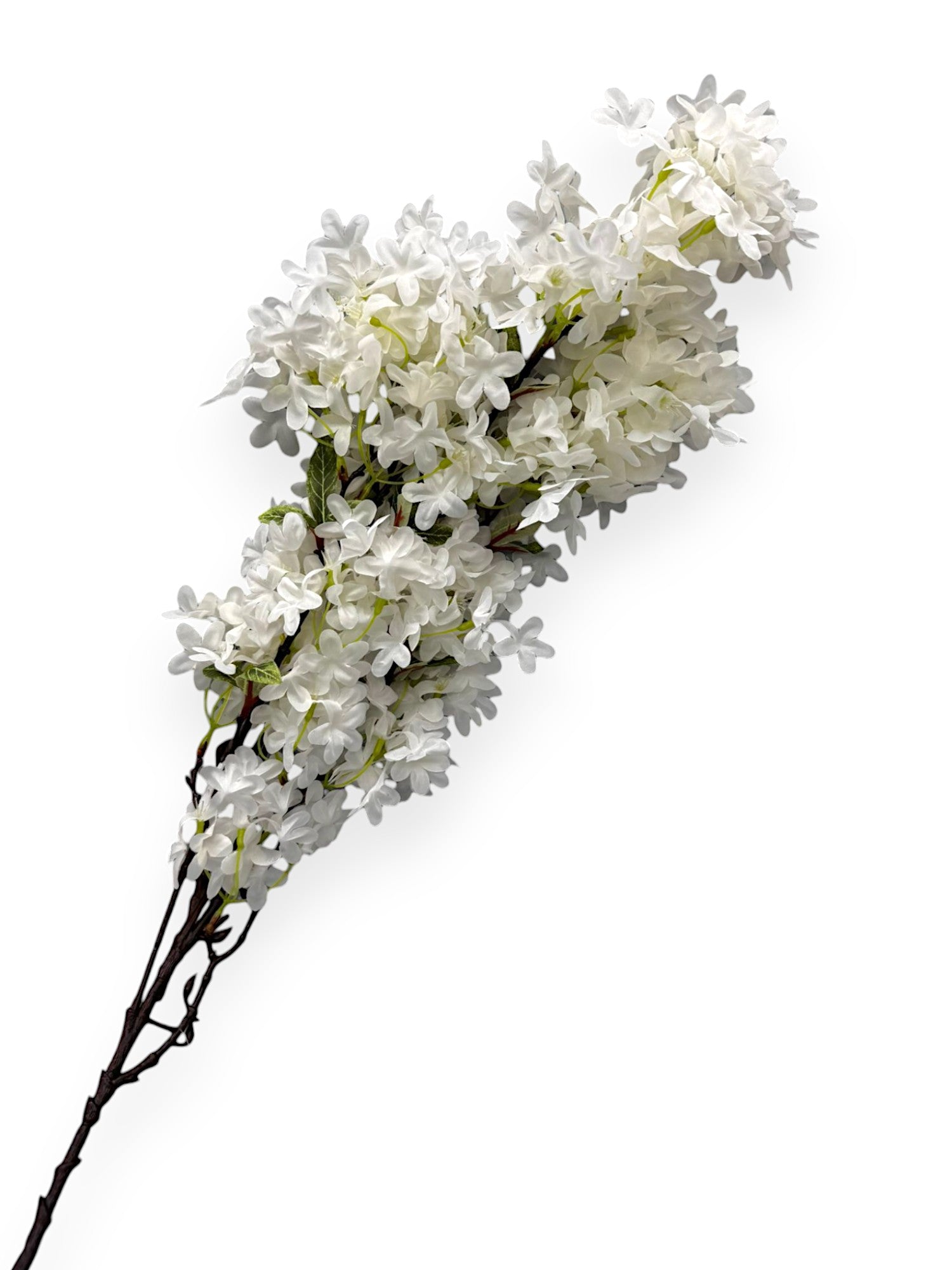 CHERRY BLOSSOM 35"