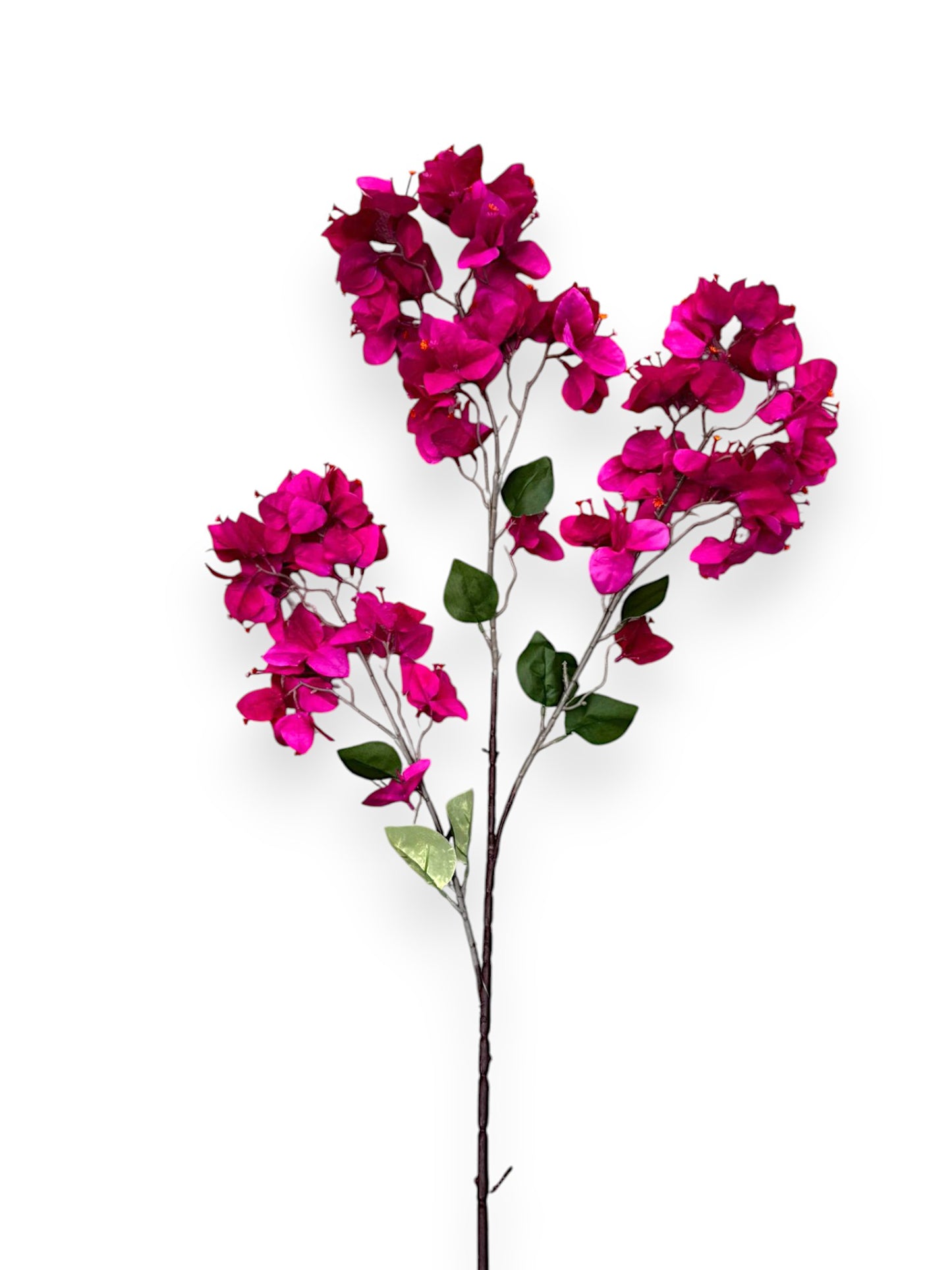 BOUGAINVILLEA STEM 35"