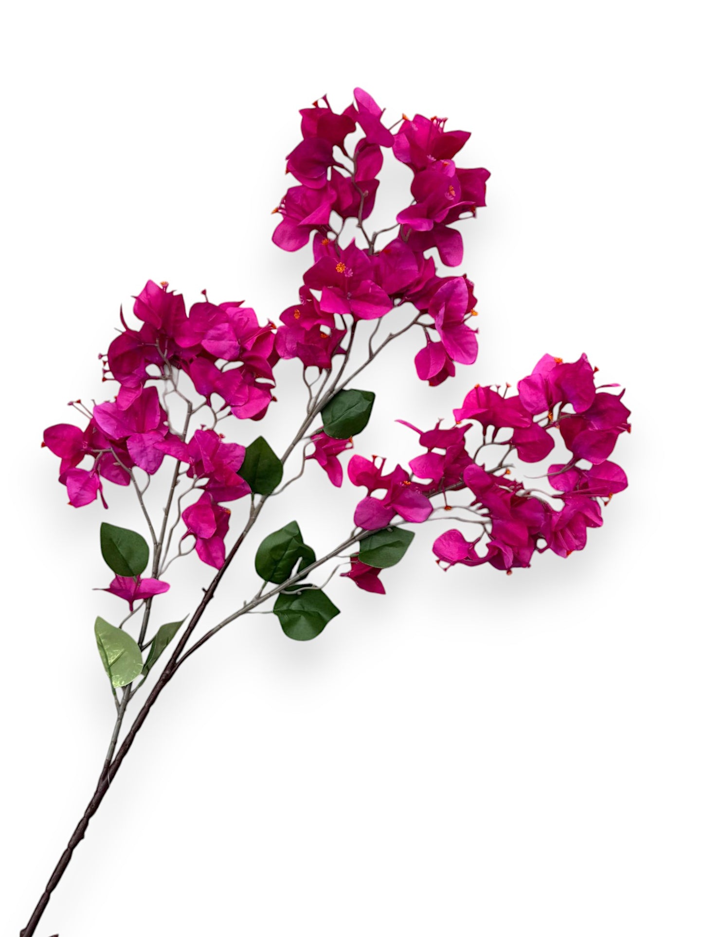 BOUGAINVILLEA STEM 35"