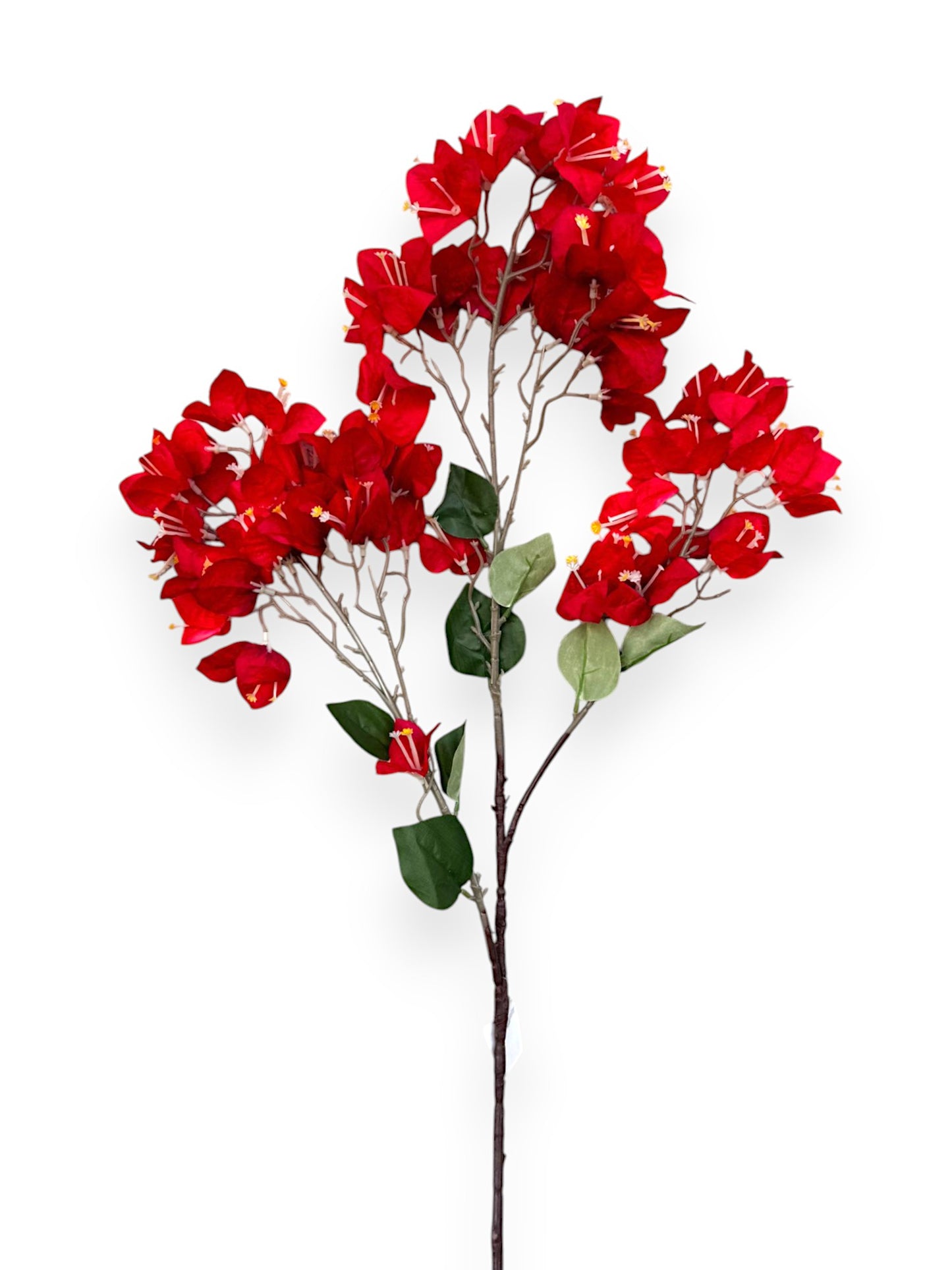 BOUGAINVILLEA STEM 35"