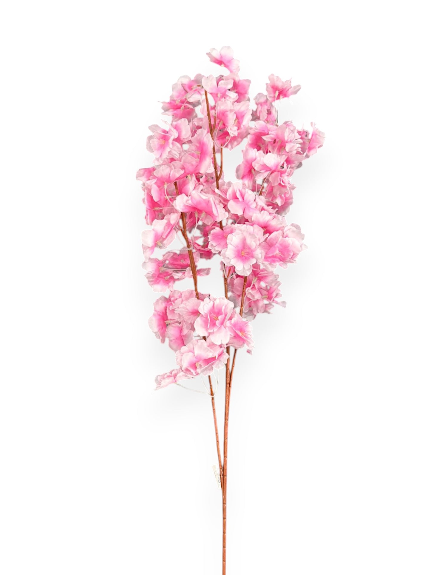 CHERRY BLOSSOM BRANCH 39"