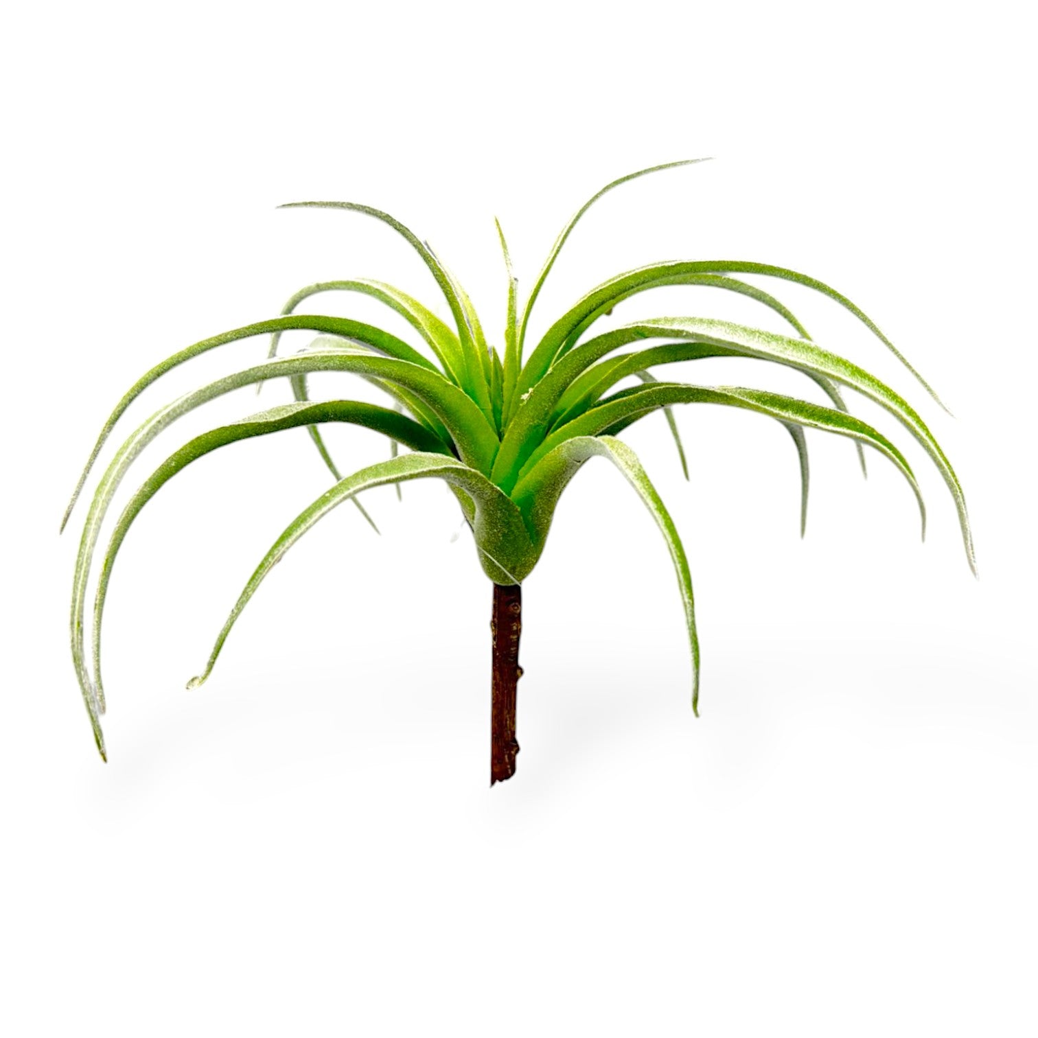 SUCCULENT TILLANDSIA PICK 9"