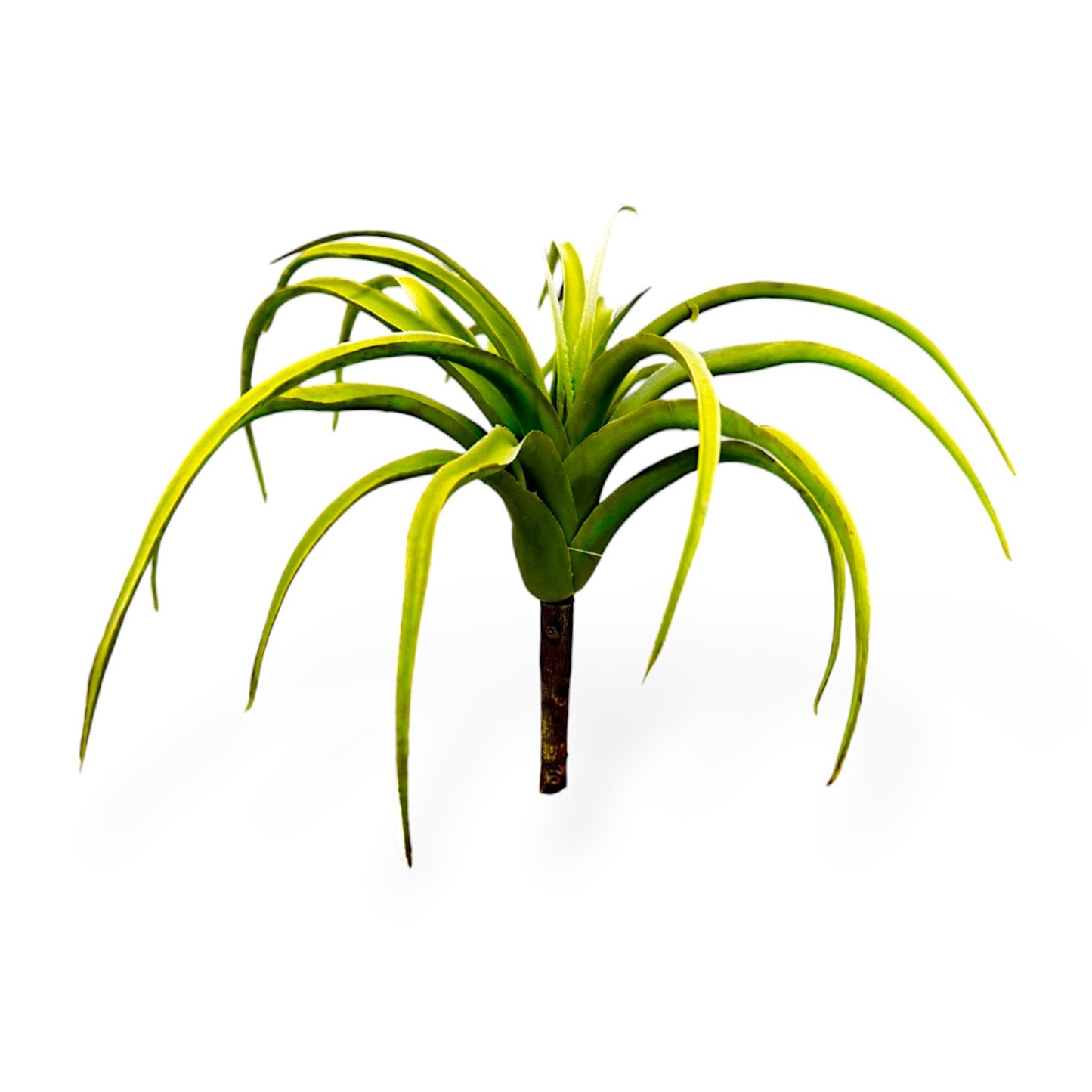 SUCCULENT TILLANDSIA PICK 9"
