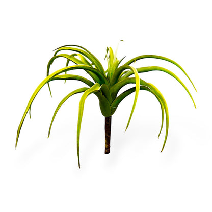 SUCCULENT TILLANDSIA PICK 9"