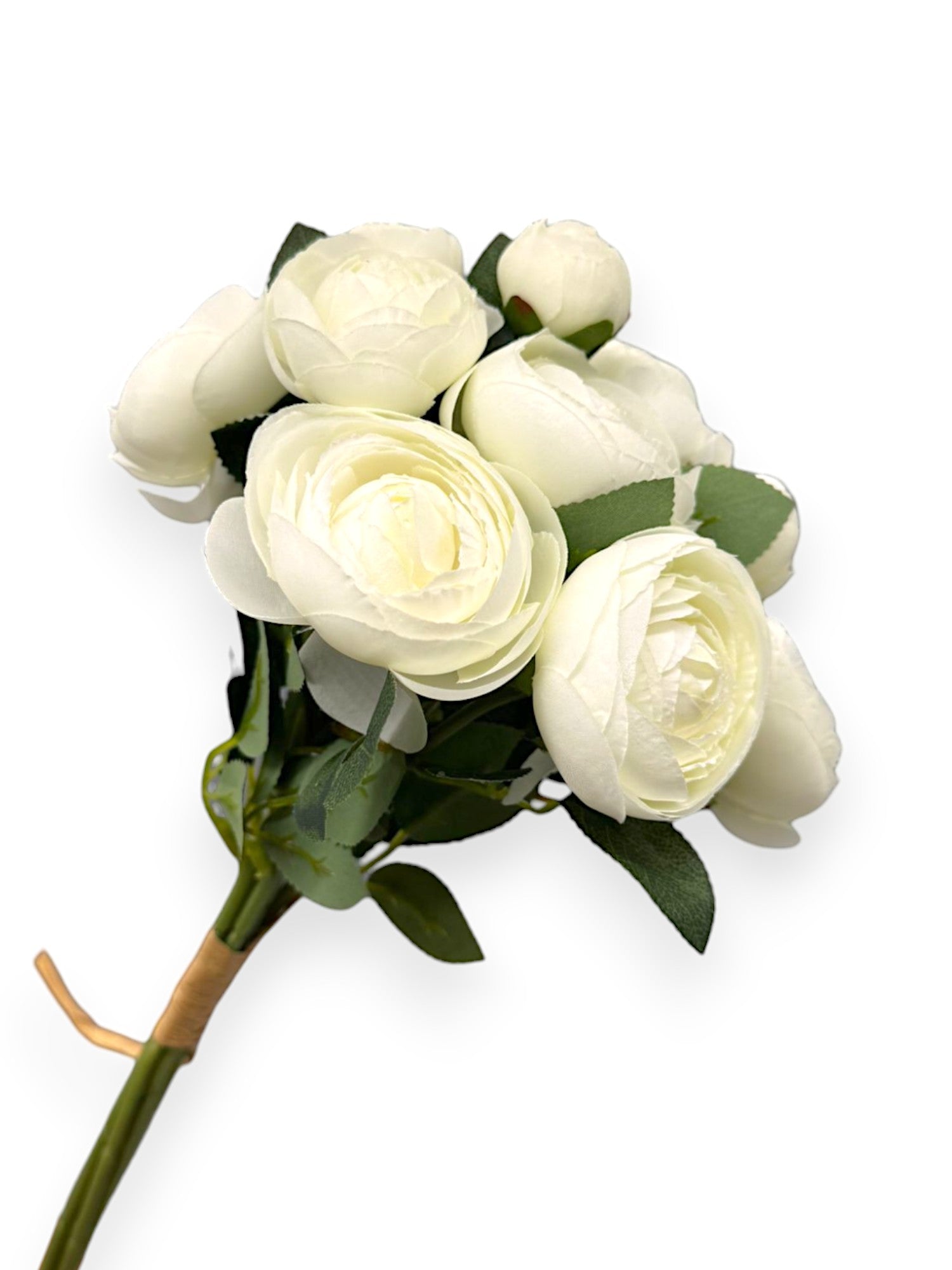 RANUNCULUS BUNDLE X6