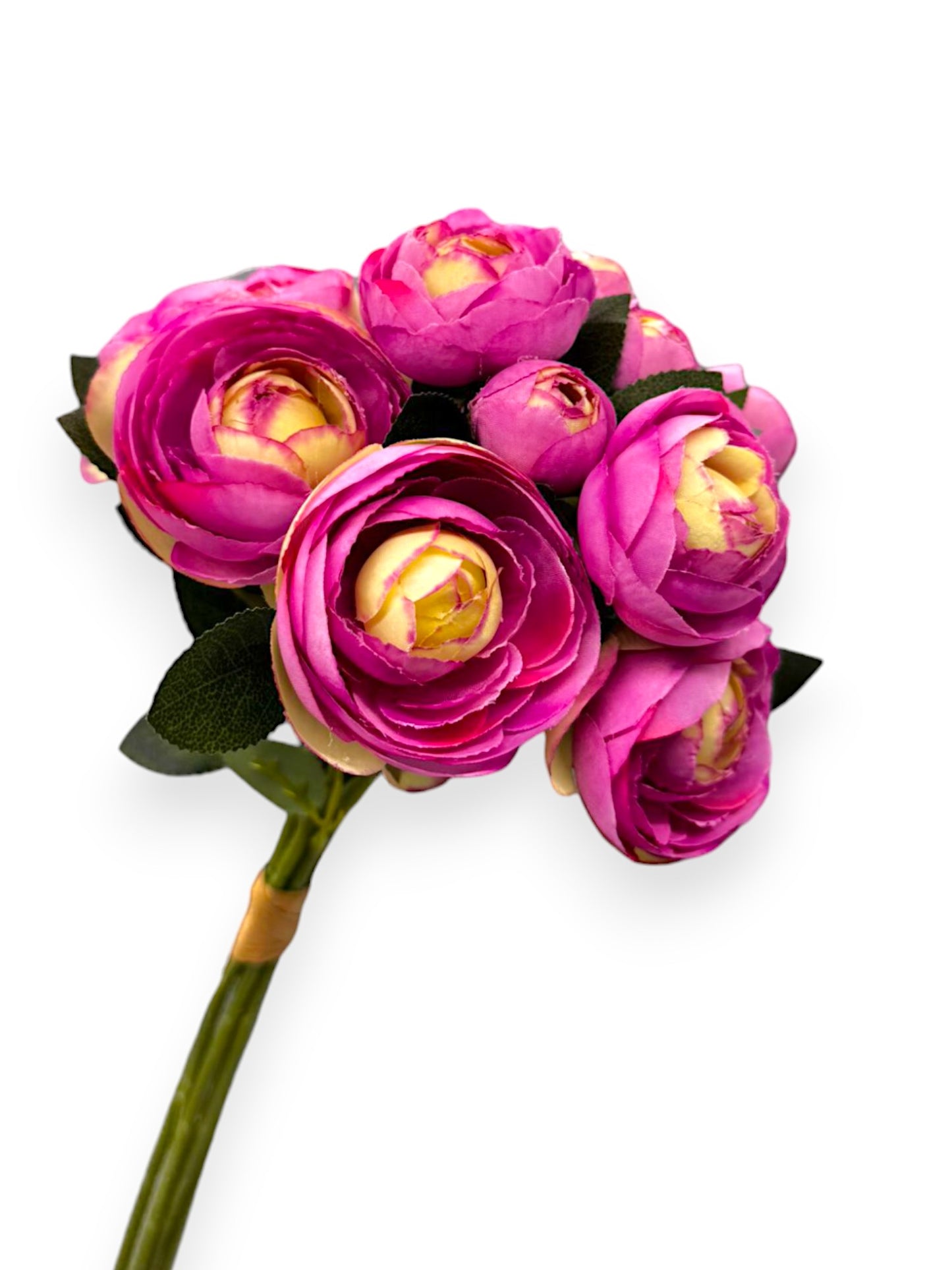 RANUNCULUS BUNDLE X6