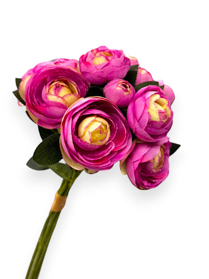 RANUNCULUS BUNDLE X6