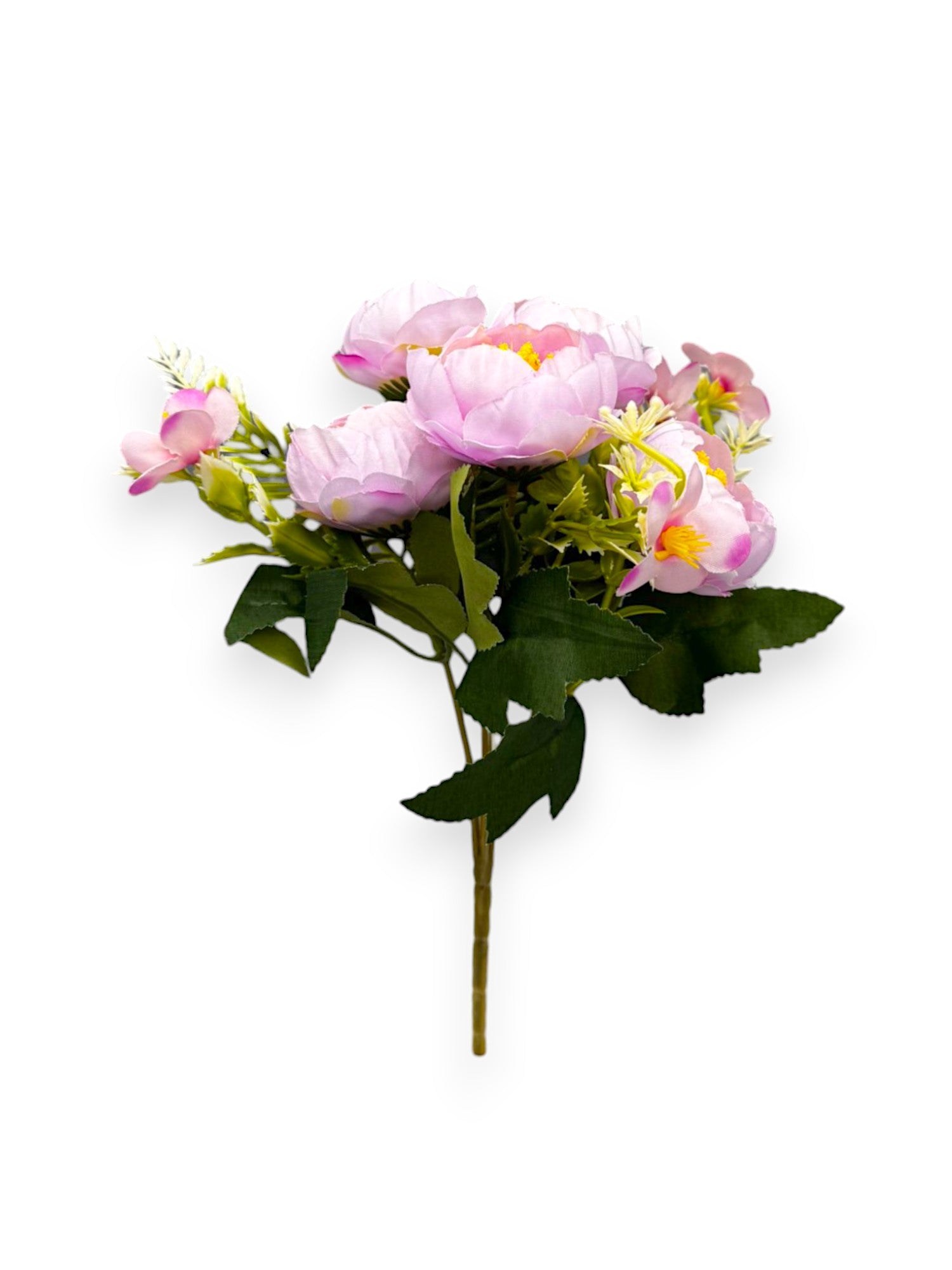 PEONY MINI BUSH X5