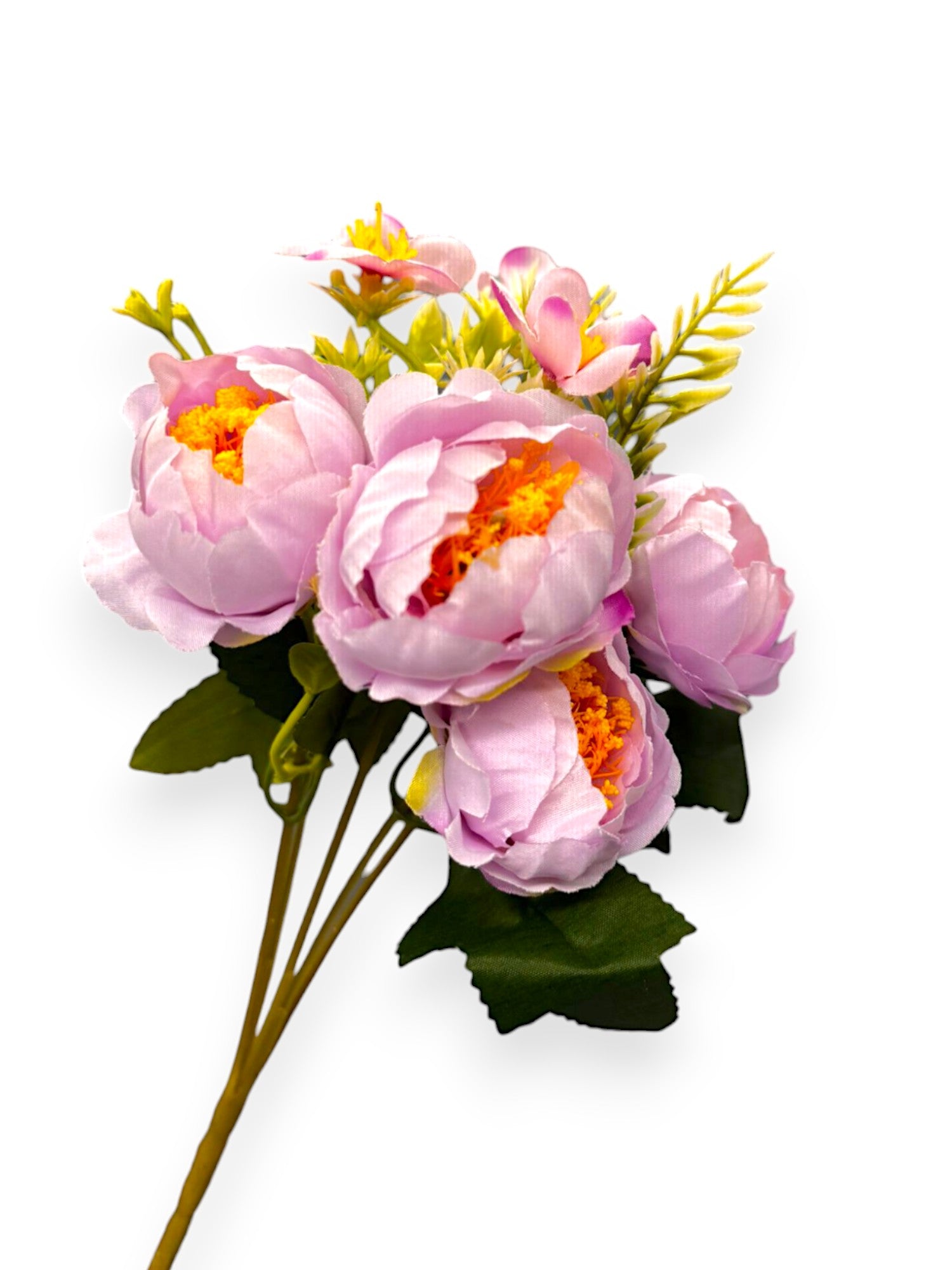 PEONY MINI BUSH X5