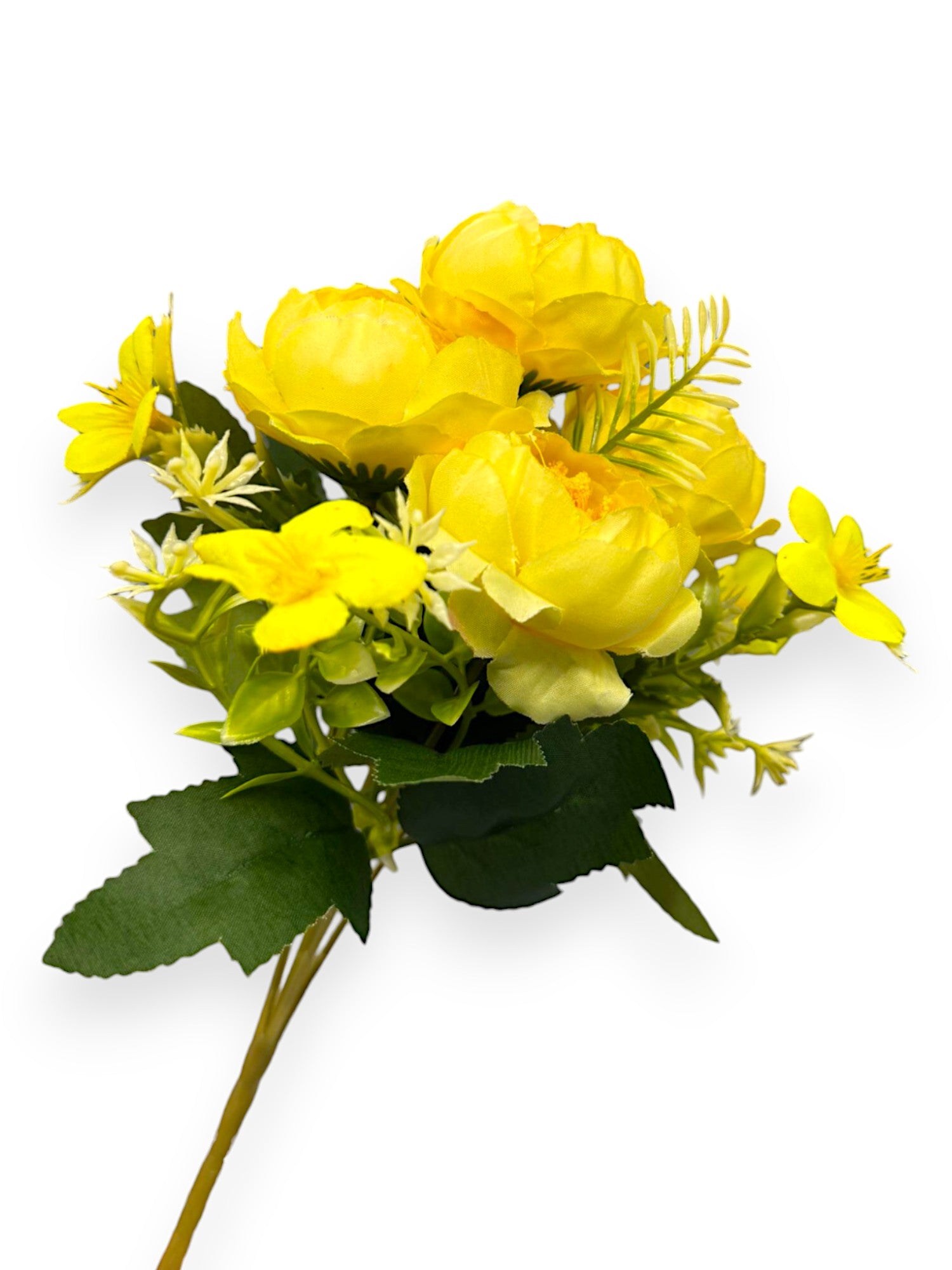 PEONY MINI BUSH X5