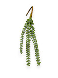 SUCCULENT PICK 15"