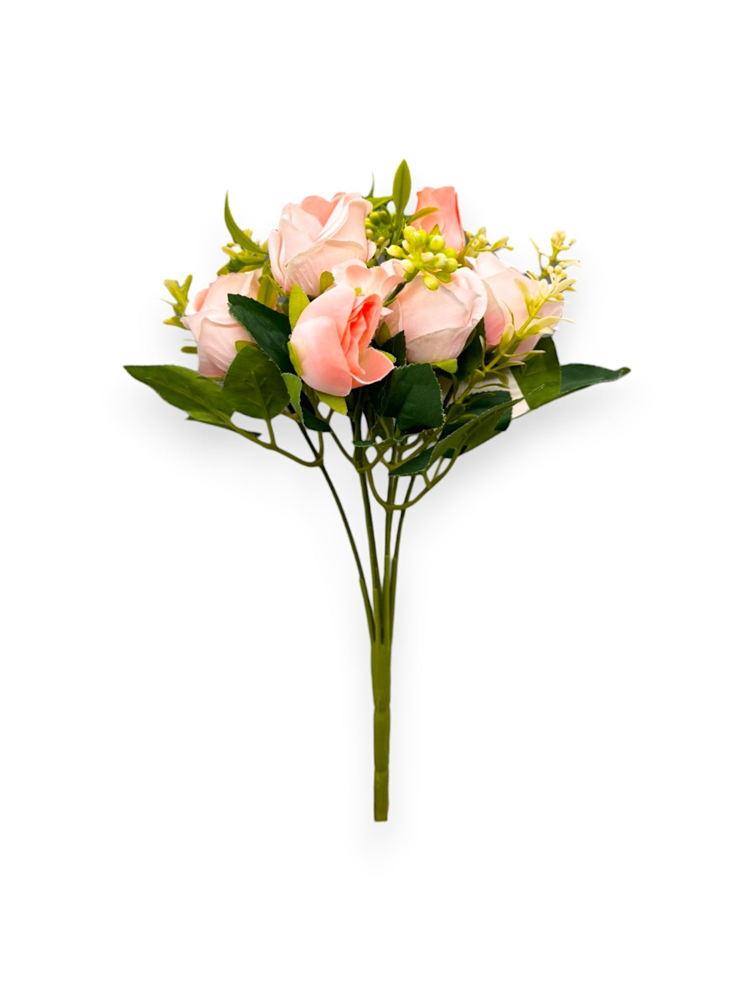 ROSE MINI BUSH X6