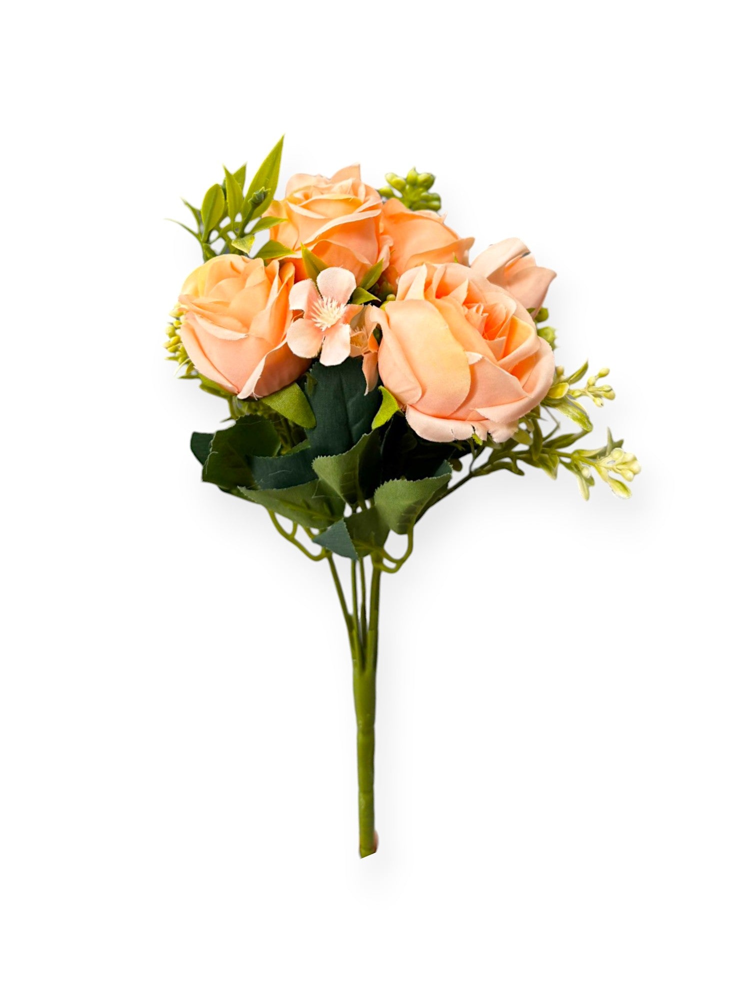 ROSE MINI BUSH X6
