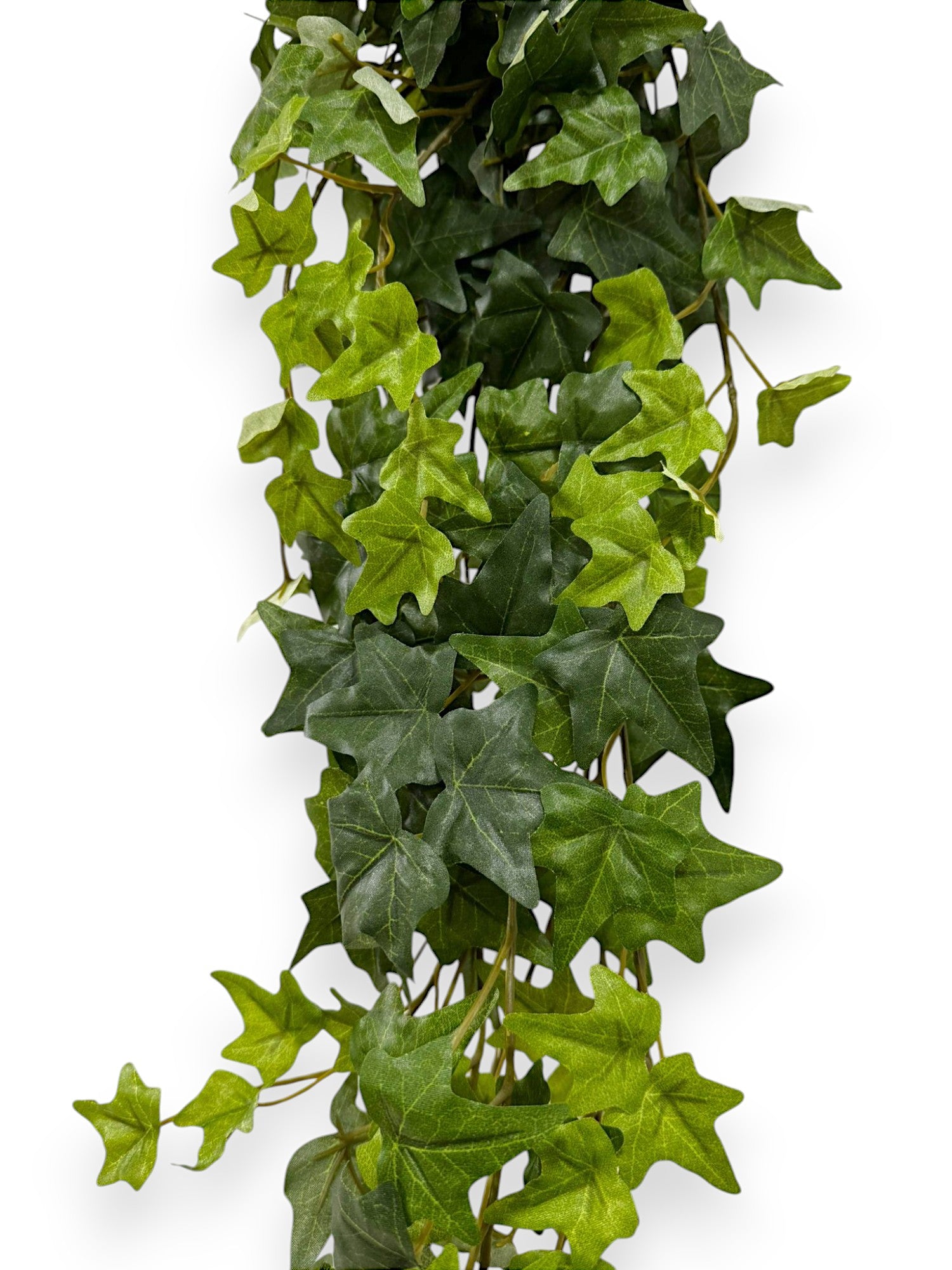 IVY HANGING 37"