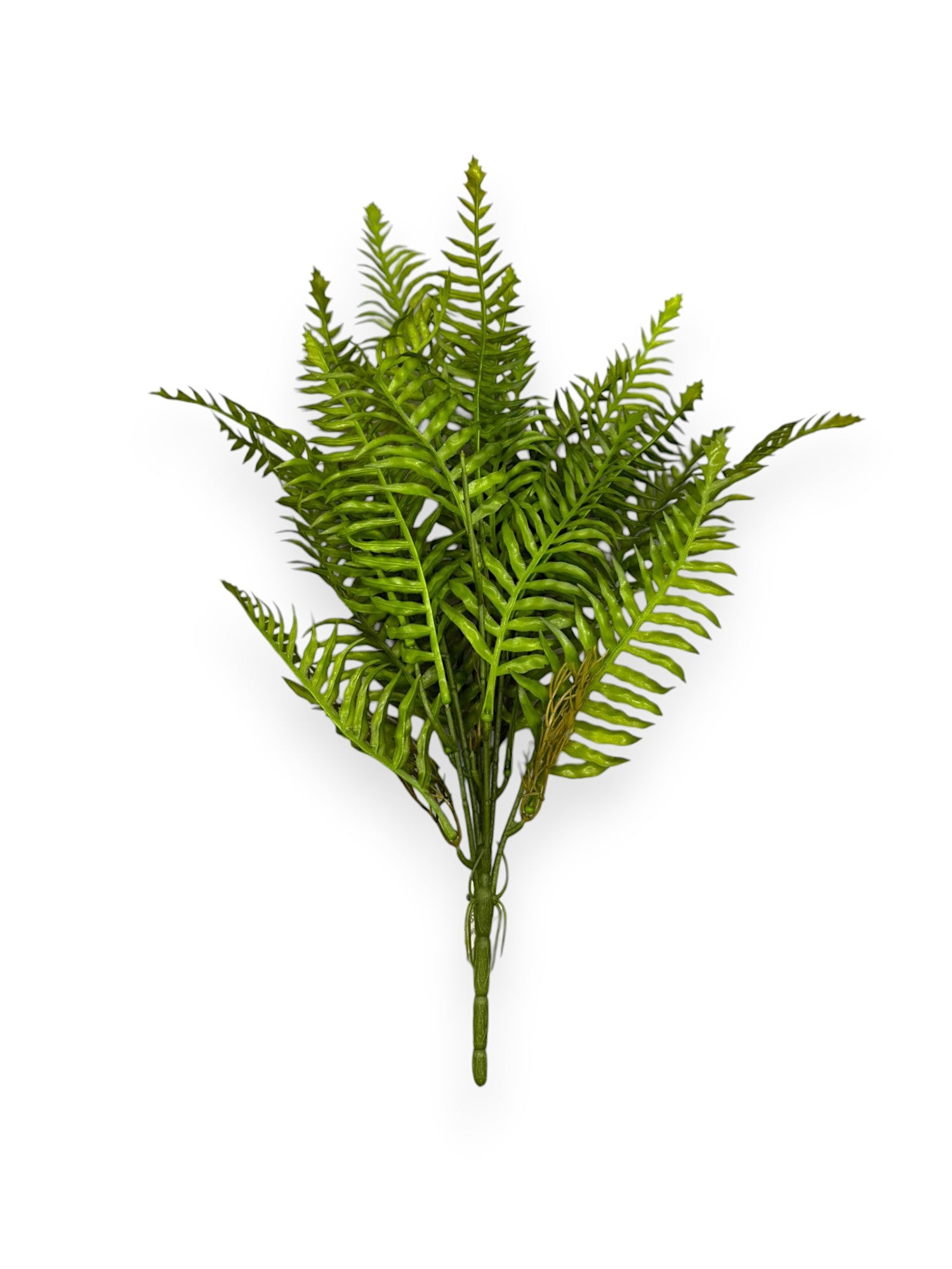 FERN BUSH 16.5"