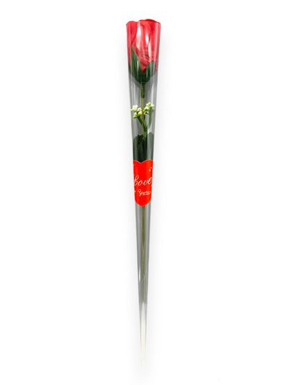 VALENTINE ROSE X12