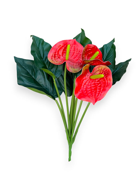 ANTHURIUM BUSH 16"