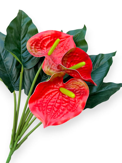 ANTHURIUM BUSH 16"