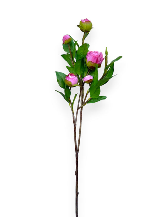 CAMELLIA BUD L 28"