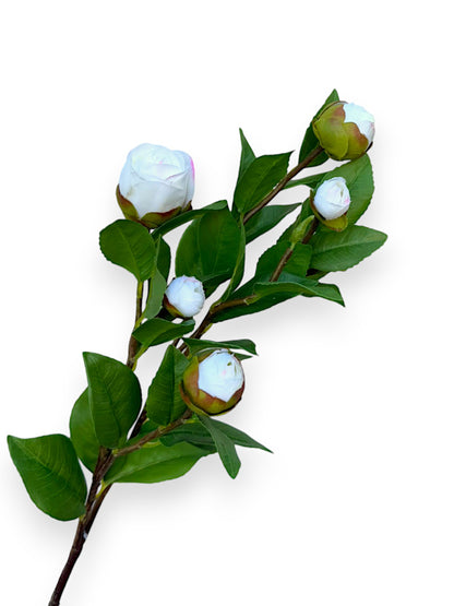 CAMELLIA BUD L 28"