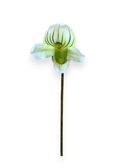 SLIPPER ORCHID 18"