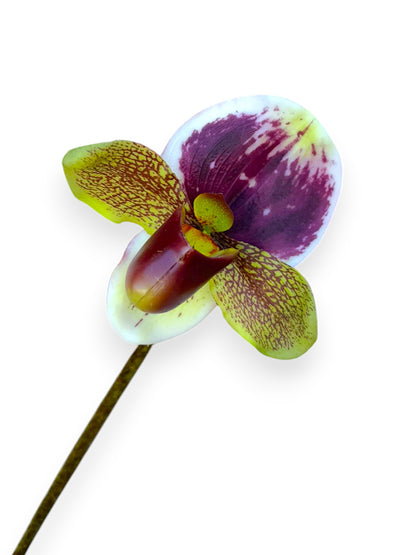 SLIPPER ORCHID 18"