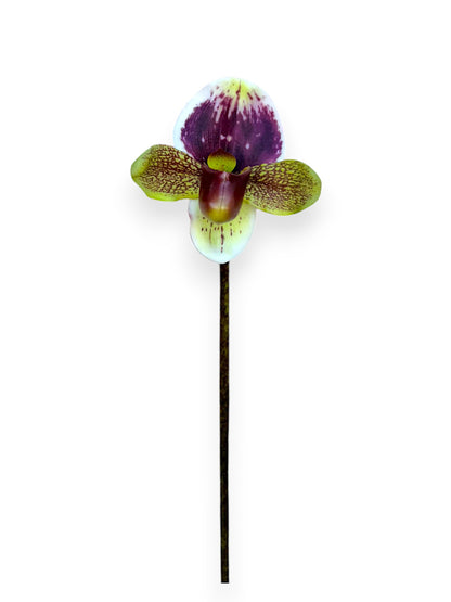 SLIPPER ORCHID 18"