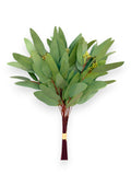 EUCALYPTUS BUNDLE SEEDED LONG 16"