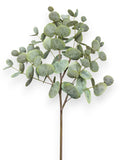 Eucalyptus Spray 34"