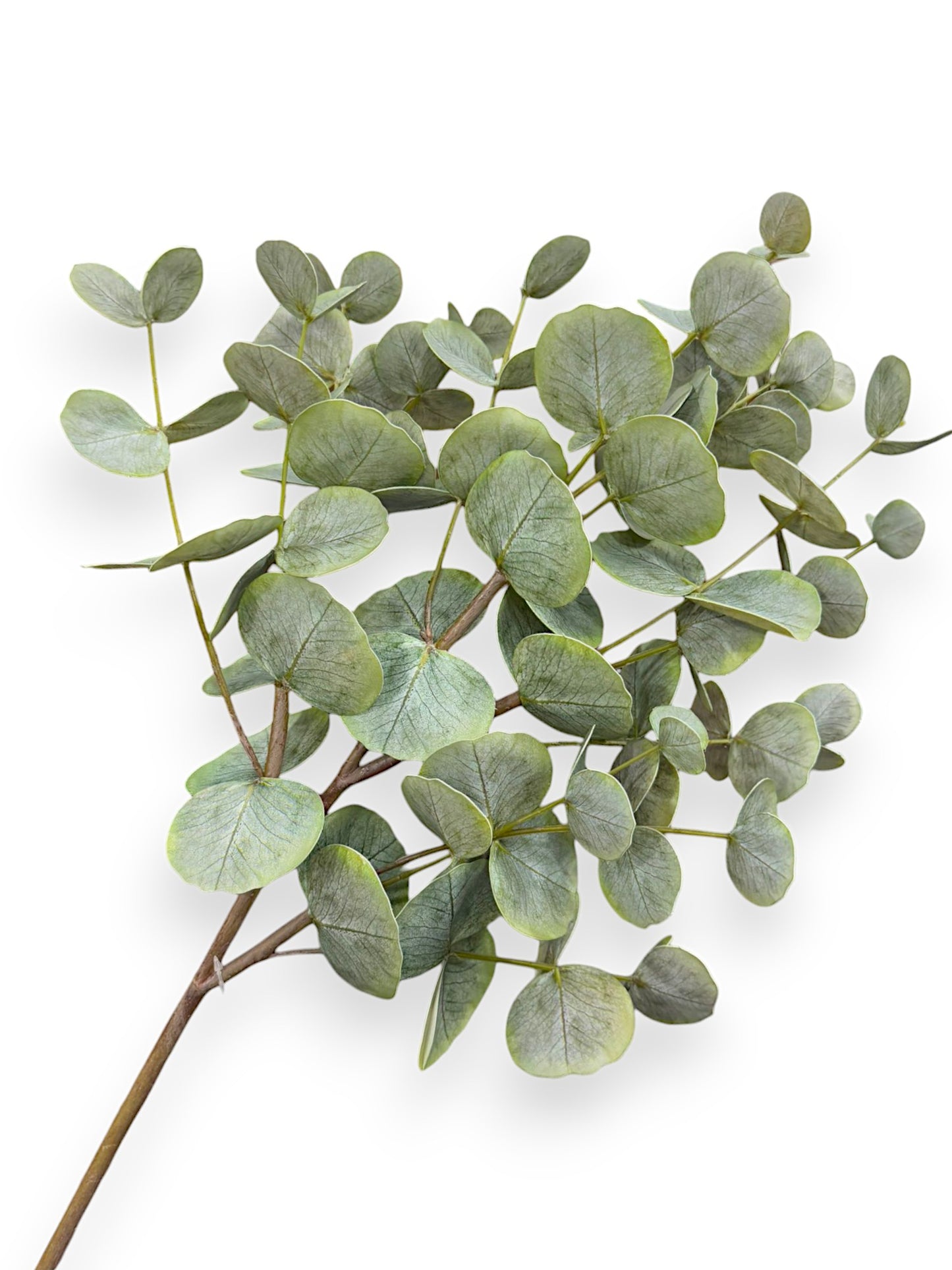 ROUND EUCALYPTUS 34"
