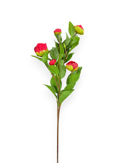 CAMELLIA BUD L 28"