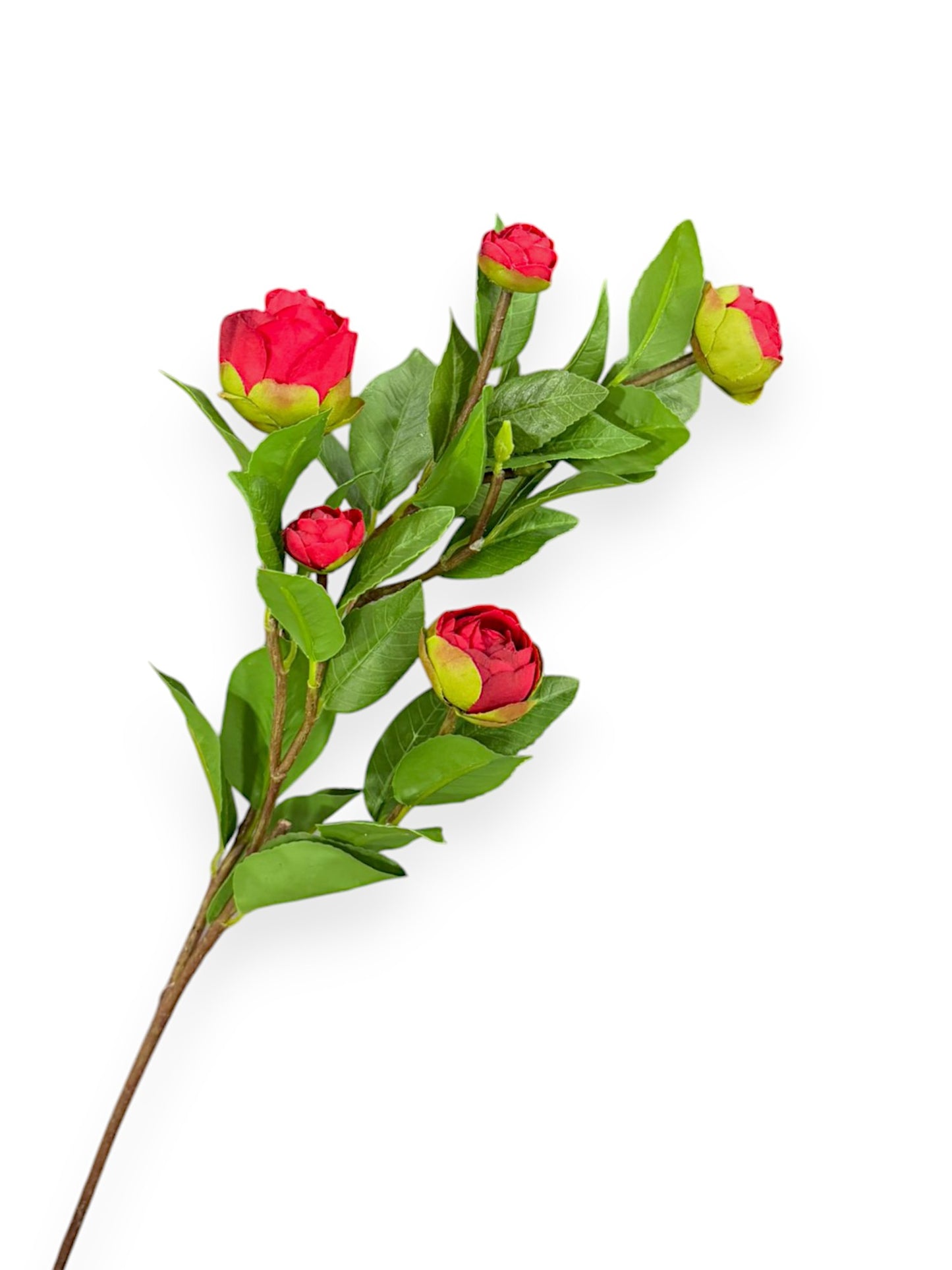 CAMELLIA BUD L 28"