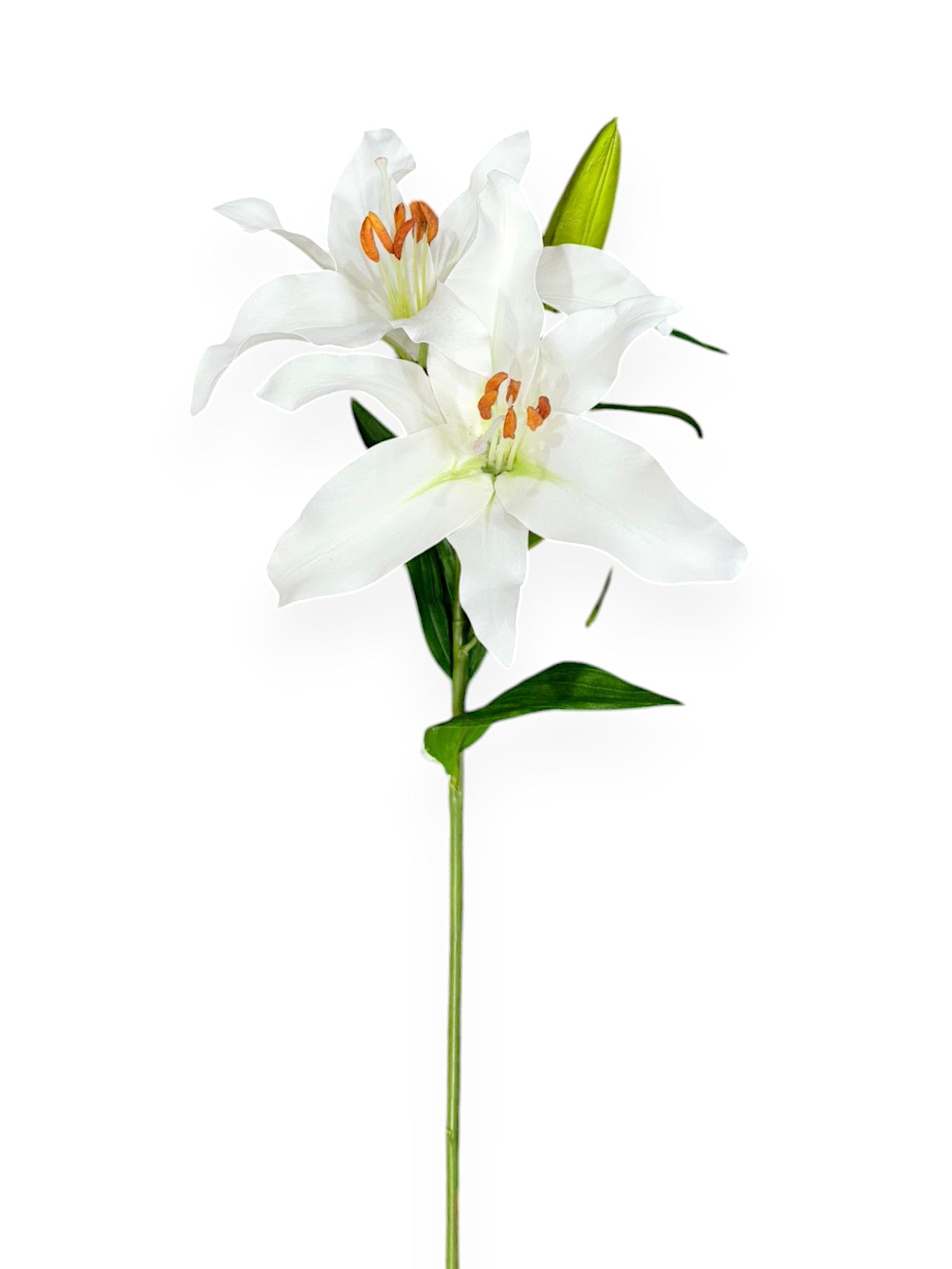 Lily Rubrum Stem 29"