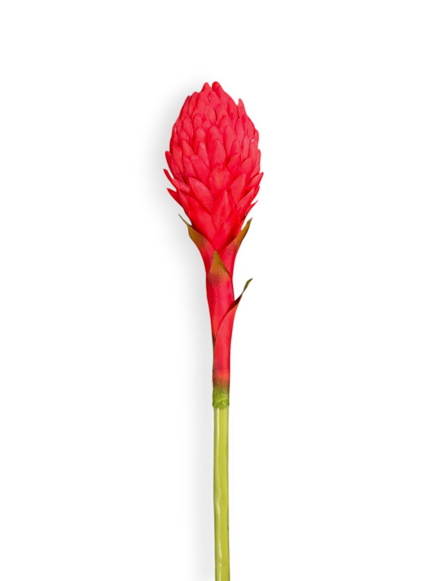 TORCH FLOWER 22"