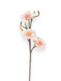 Star Flower Magnolia Stem 25"