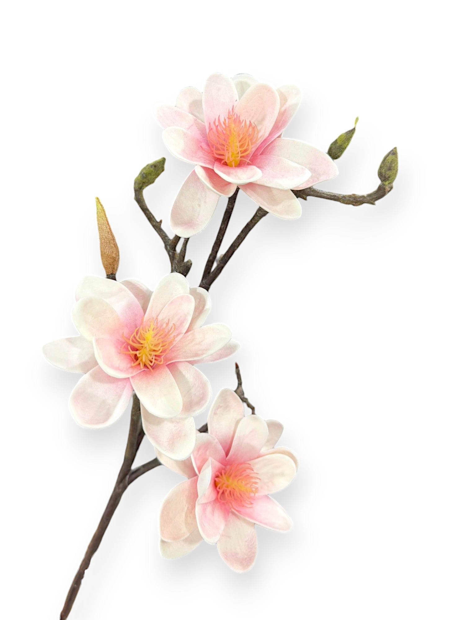 Star Flower Magnolia Stem 25"
