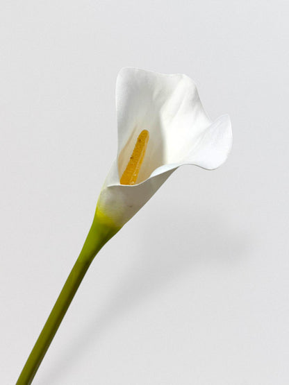 CALLA LILY 30"